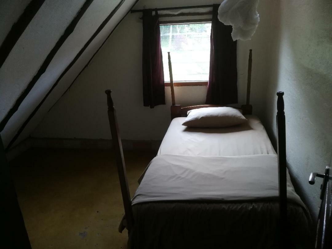 Hotel The Haven Jinja Zewnętrze zdjęcie